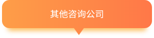其他咨詢(xún)公司